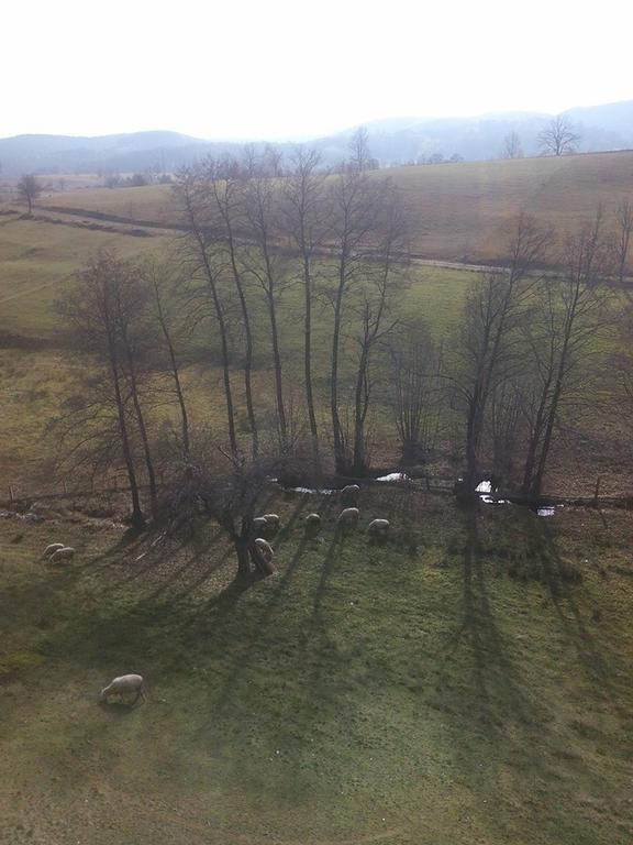 Apartment Gledovic Zlatibor Buitenkant foto