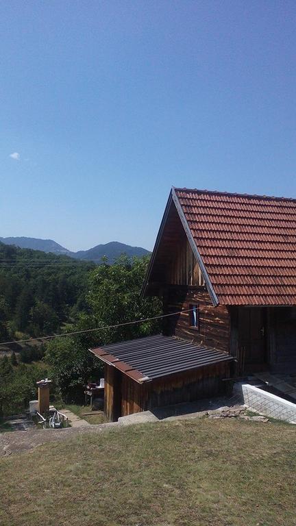 Apartment Gledovic Zlatibor Buitenkant foto